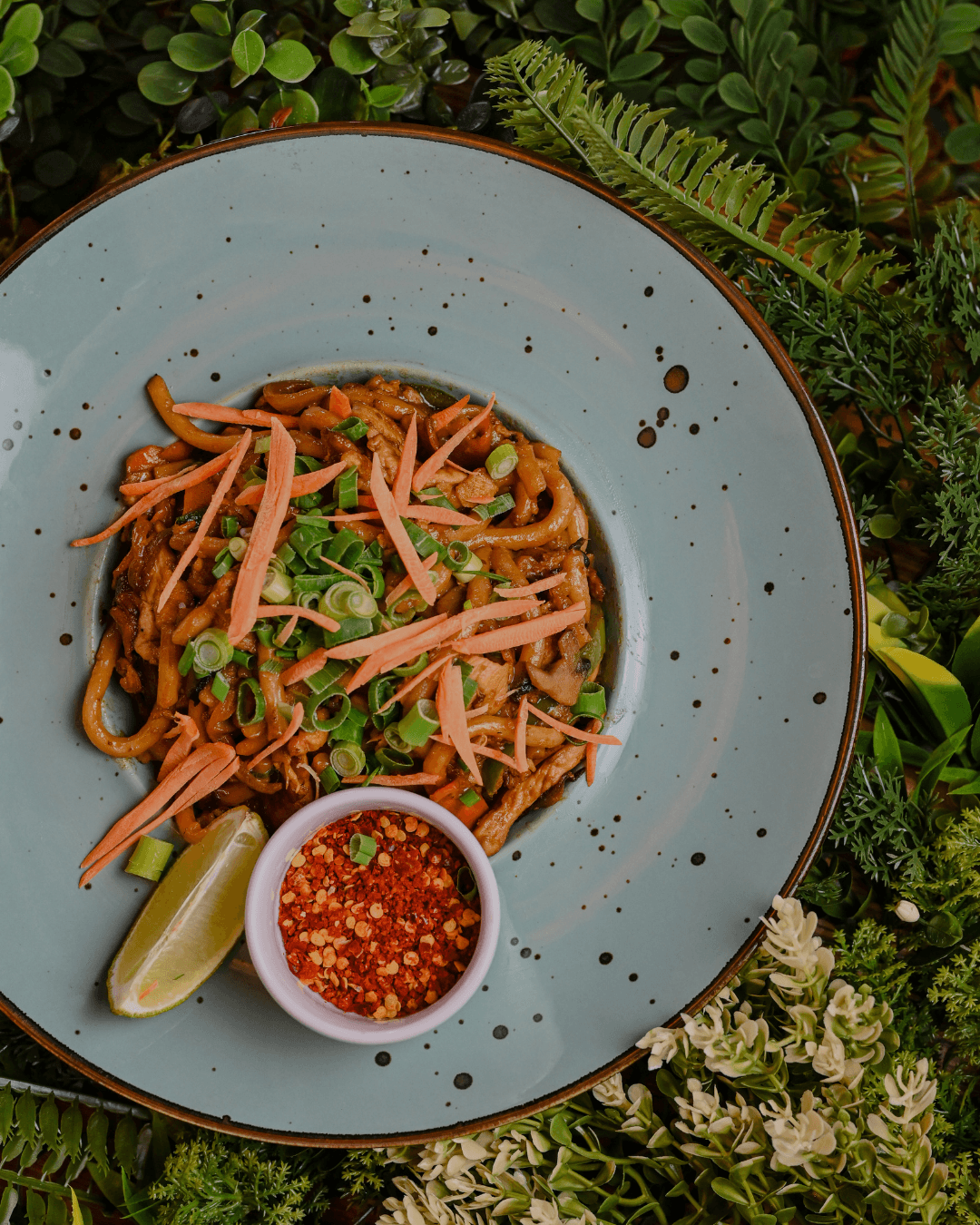 Udon Kurczak